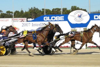 800px Harness Racing Pacers1