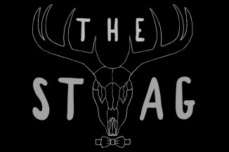 The Stag Image