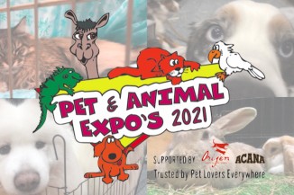 Chch pet and animal expo