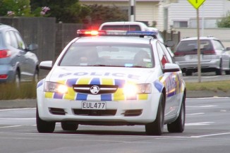 police car 2